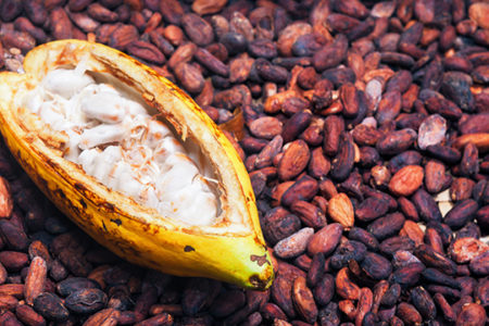 El poder medicinal del cacao