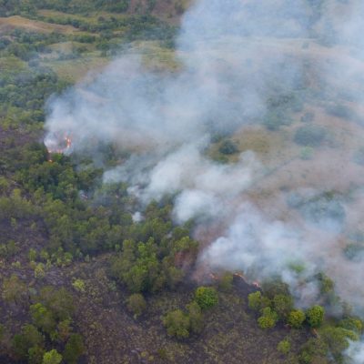 Desaprensivo utilizan a nacionales haitianos para depredar la zona el Rio Sonador en Cerro Montoso.