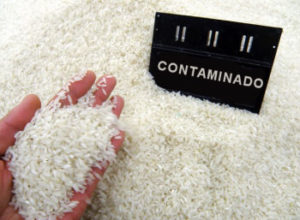 RUMOR PÙBLICO, ENTRA AL PAIS CARGAMENTO DE ARROZ CONTAMINADO