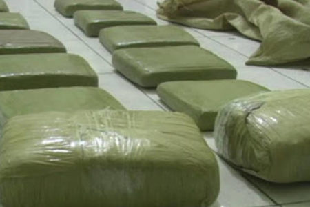 Ocupan 70 libras de marihuana en allanamiento en San Juan