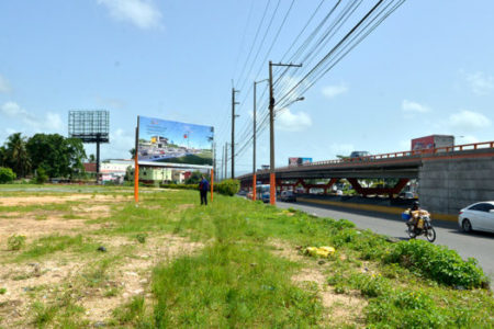 Hierba crece en terrenos de estación