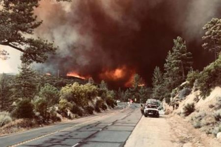 Trump declara el estado de emergencia en California debido a los incendios