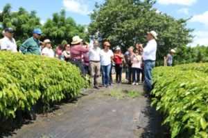 JAD realiza Ruta Agroturística a la Provincia  Hato Mayor