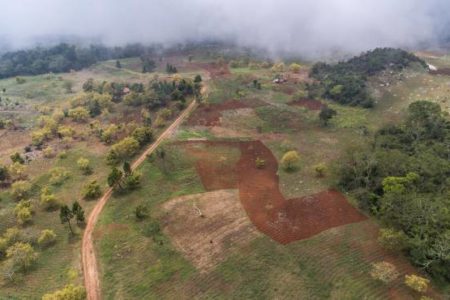 Academia de Ciencias denuncia cuenca del rio Mulito está devastada