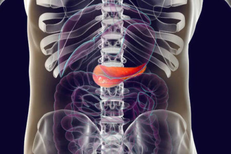 Portugal avanza contra cáncer de páncreas con nuevo centro de investigación