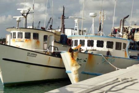 Apresan a 124 pescadores dominicanos en Bahamas