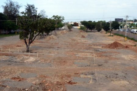 Academia de Ciencias objeta permiso de Medio Ambiente para estación de pasajeros en Parque Mirador del Este