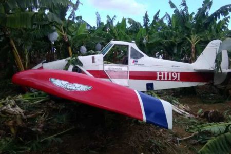 Cae Avioneta en finca de Mao; Piloto resulta herido