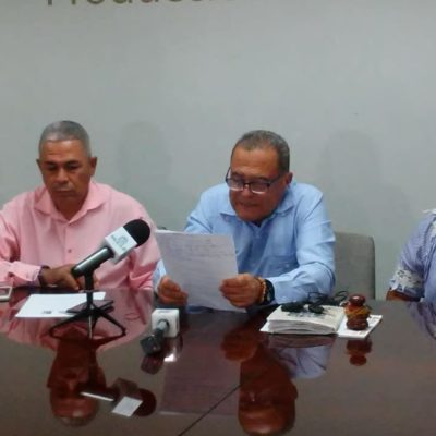 Productores de limón advierten importación perjudica al país