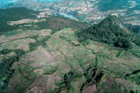 Medio Ambiente lleva a periodistas al área intervenida de Valle Nuevo