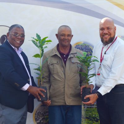 Primera Entrega de Plantas de Café