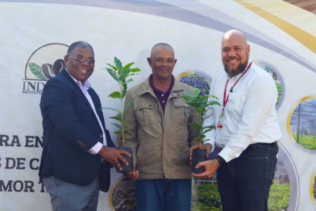 Primera Entrega de Plantas de Café