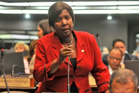 Diputada Maria Gallard pide a sectores productivos asumir mayor compromiso a favor de la clase trabajadora dominicana