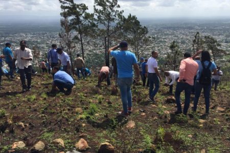 Ministerio de Medio Ambiente inicia Primera Temporada de Reforestación en Loma Guaigüí,  La Vega