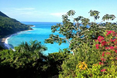 Academia de Ciencias pide mayor protección de la Biodiversidad