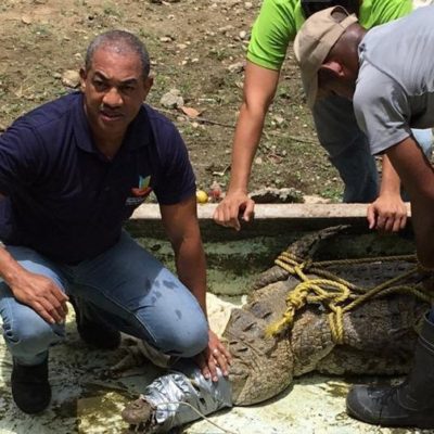 Procuraduría confisca reptiles y aves exóticas en centro turístico de San Cristóbal