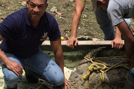 Procuraduría confisca reptiles y aves exóticas en centro turístico de San Cristóbal