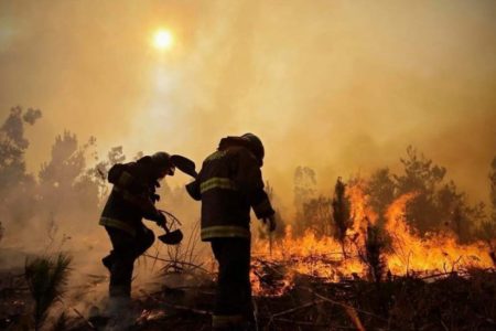 El mundo exige salvar la Amazonía, “pulmón del planeta” asfixiado en llamas