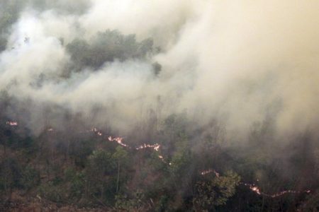 Cierran cientos de colegios en Malasia e Indonesia por el humo de incendios