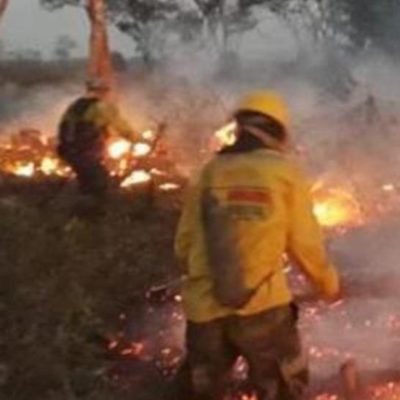 Incendios afectan más de 13,000 hectáreas de cobertura vegetal en Ecuador