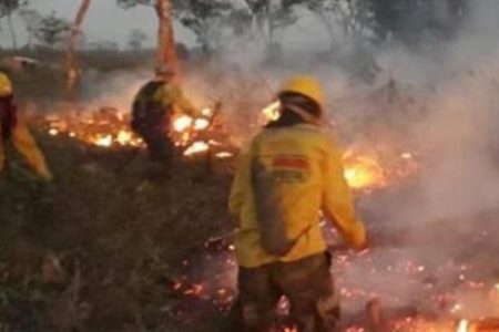 Incendios afectan más de 13,000 hectáreas de cobertura vegetal en Ecuador