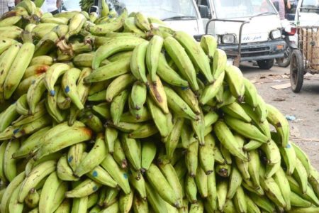 Ministro advierte a productores de que importará plátano si suben su precio