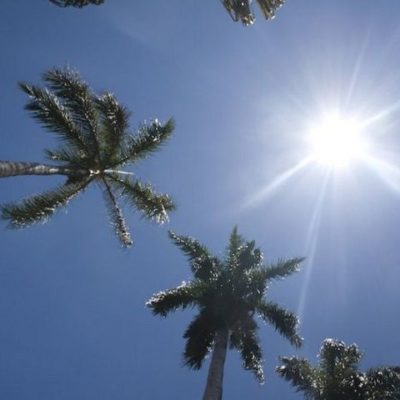 Cielo mayormente despejado y soleado; no se prevén lluvias, según ONAMET