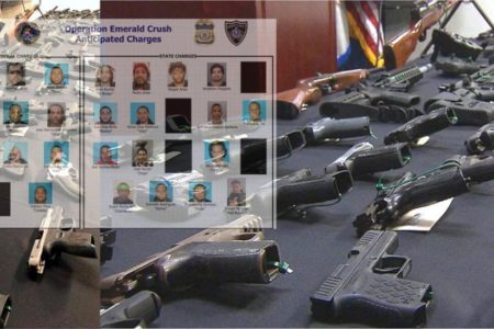 Arrestan 18 pandilleros trinitarios con armas de fuego y drogas en Massachusetts