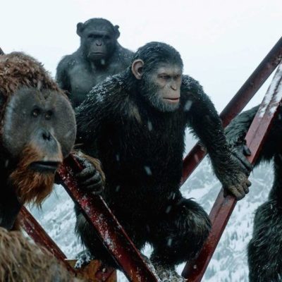 Disney trabaja en una nueva cinta de la saga “The Planet of the Apes”