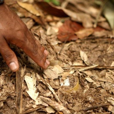 Al menos dos menores indígenas colombianos mueren por una mina antipersonal