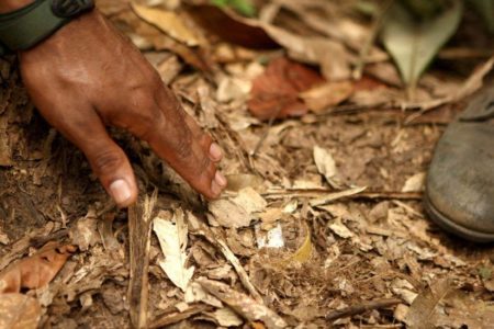 Al menos dos menores indígenas colombianos mueren por una mina antipersonal