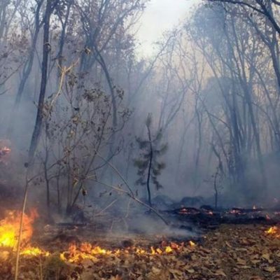 Incendio incontrolable en Nicaragua avanza hacia frontera con Honduras