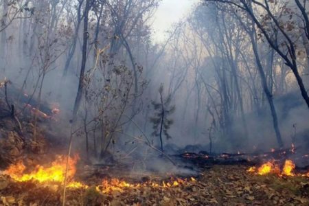 Incendio incontrolable en Nicaragua avanza hacia frontera con Honduras