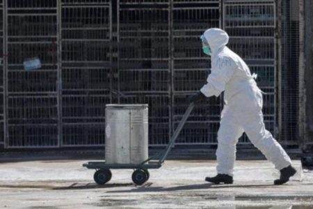 Una ciudad china emite alerta sanitaria por un posible caso de peste bubónica