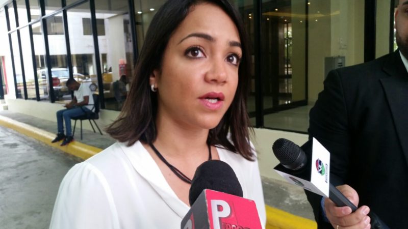 Faride entiende PRM podría ocupar puesto del Senado en CNM