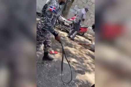 Las súplicas de supuesto ladrón mientras policías le daban latigazos en Azua