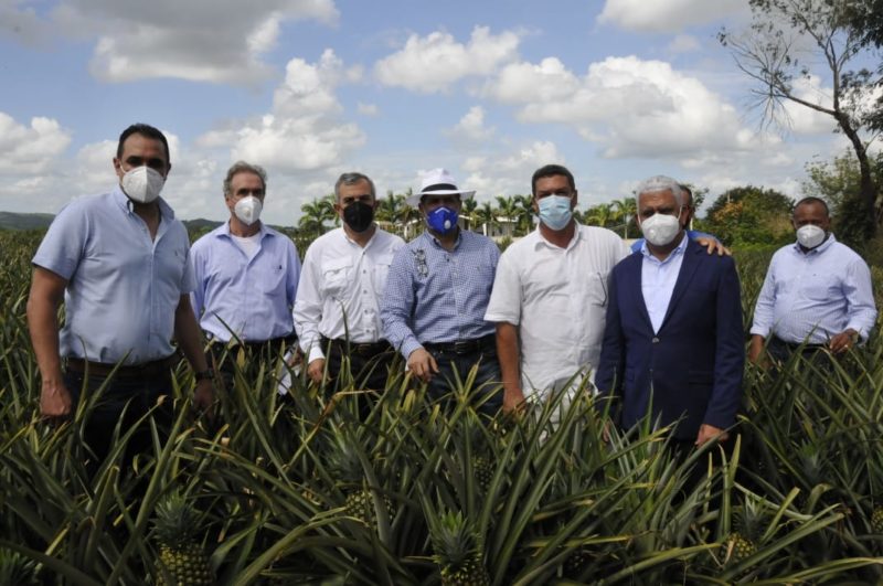 En Cotuí, gobierno apoyará productores de piña para incrementar exportaciones