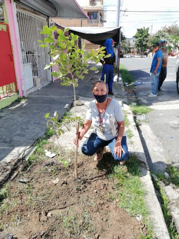 ADN continúa programa de reforestación en las tres circunscripciones de la Capital