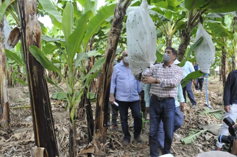 Entrega pacas para ganadería y materiales de siembra