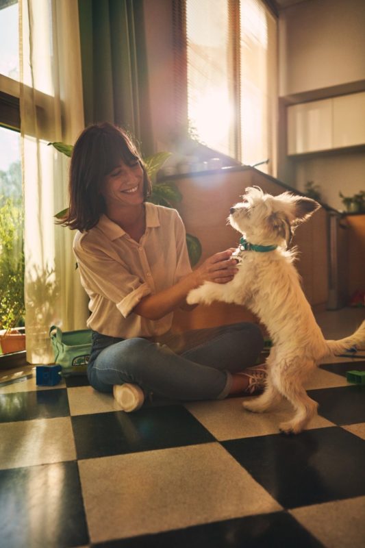 Purina y Selvática Pet Store recaudan 9,000 libras de alimentos para mascotas en “Día de Donaciones”
