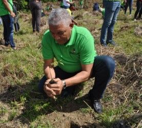 Director y colaboradores de la OMSA realizan jornada de reforestación en Villa Altagracia 