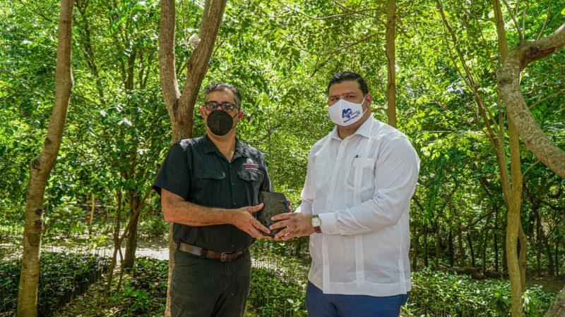 Fundación Refidomsa y Medio Ambiente restauran viveros de mangles en Parque Ecológico de Nigua