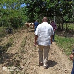 Director del DIGERA visita Bajo Yuna y zonas agropecuarias en riesgos por lluvias
