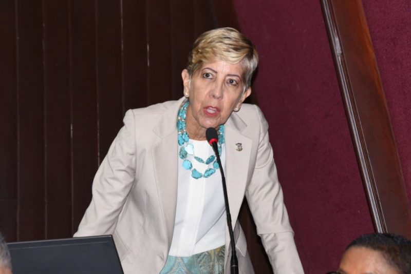 Senadora Ginette Bournigal afirma «Quitaría» a ministro de Energía y Minas