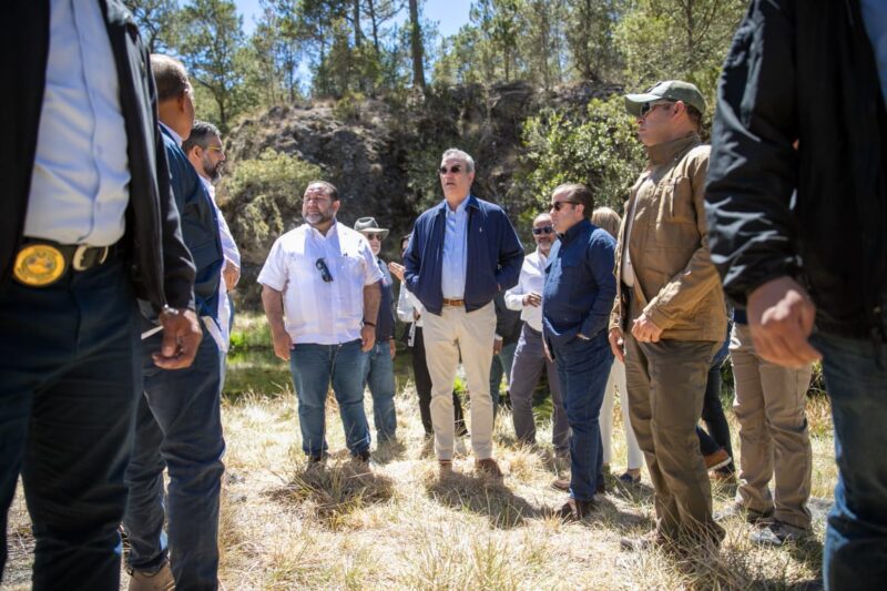 Presidente Abinader anuncia plan de acción para regenerar zonas afectadas por incendios en Valle Nuevo y todo el país