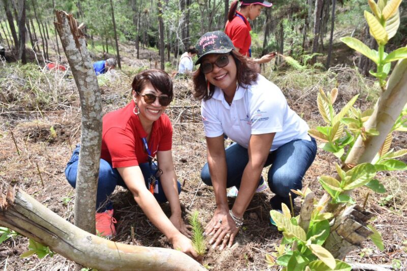 Ministerio de Trabajo participa en Plan Nacional de Reforestación