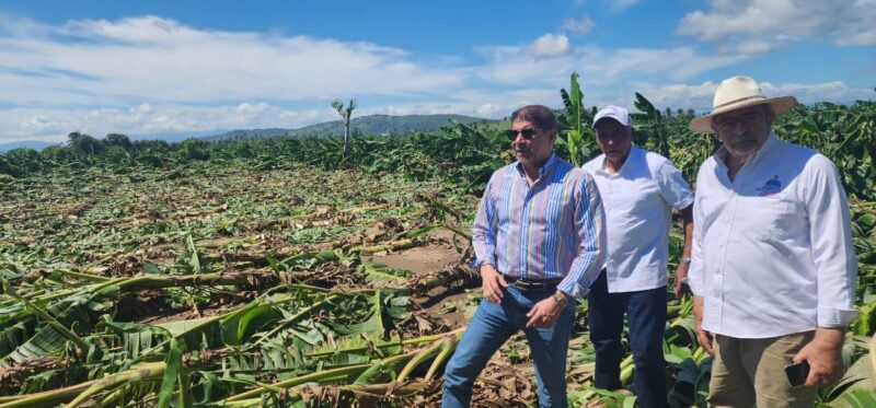 Ministro Limber Cruz acude a zona de impacto de un tornado que eliminó plantaciones de plátano y arrasó con granjas de pollos este sábado en comunidades de La Vega