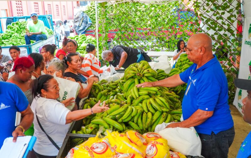 Inespre inicia compra 14 millones de plátanos a productores afectados por ventarrón en Salcedo, Villa Tapia, Moca y La Vega